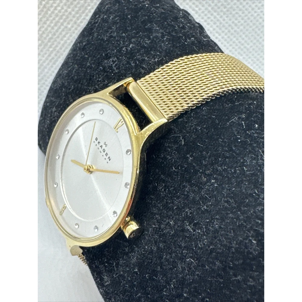 Skagen Anita Lille SKW2150 Women's Gold Stainless Steel Mesh Analog Watch AEA309